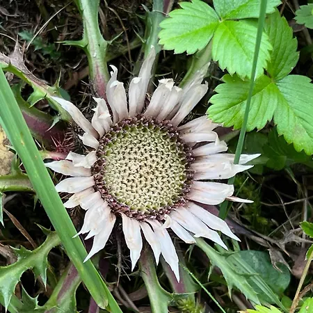 Unterhecherhof アパート Bannberg