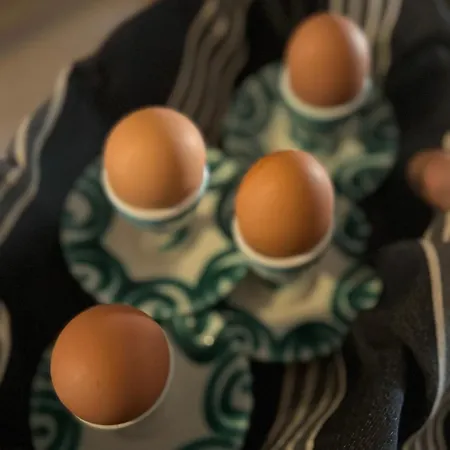 شقة Unterhecherhof Bannberg