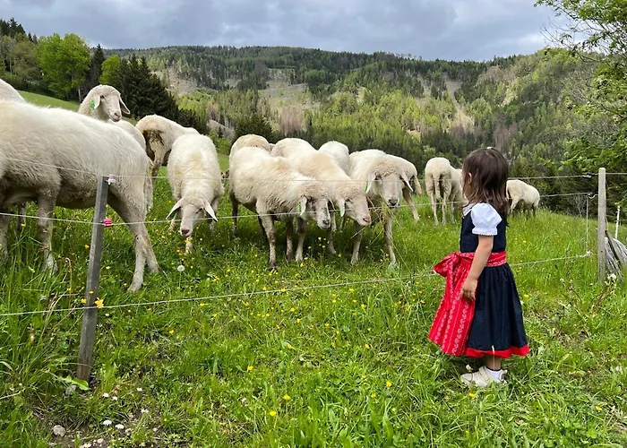 Unterhecherhof Appartement *