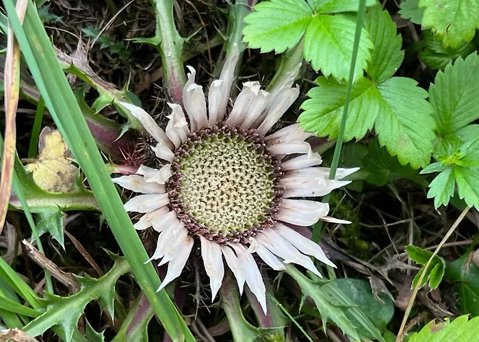 Unterhecherhof Appartement Bannberg