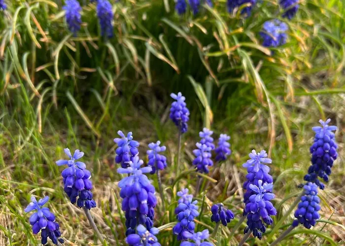 Unterhecherhof * Bannberg