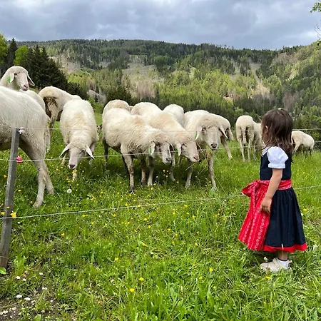 Unterhecherhof Apartment *